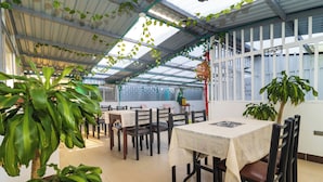 Un comedor con mesas y sillas, una planta grande en maceta y vistas por una ventana.