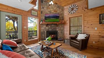 Smart TV, fireplace, video games, books