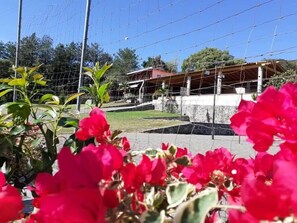 Garden view - Cabaña Madalena (Comala)