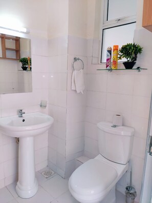 Een douche, handdoeken, zeep, toiletpapier