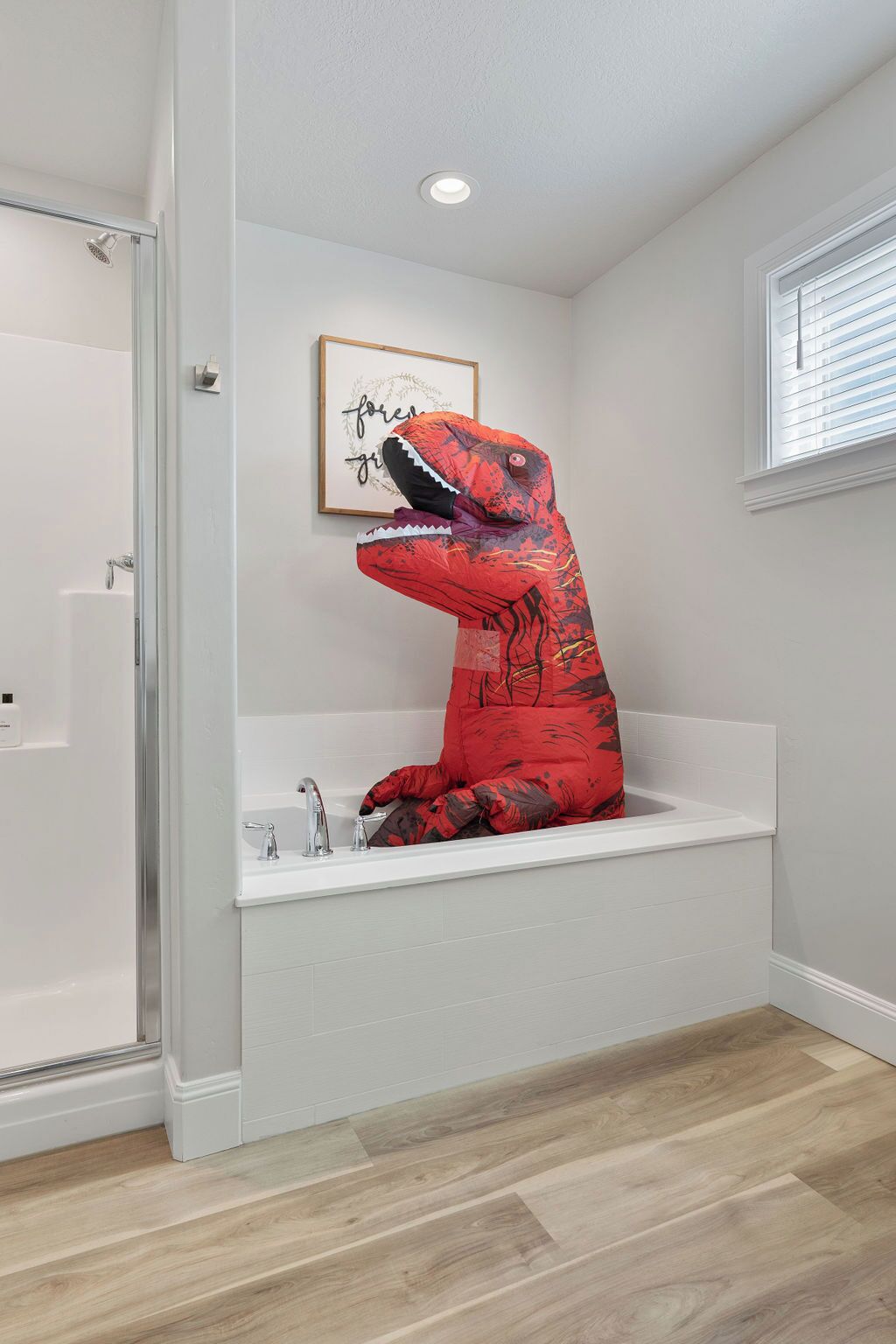 Bathtub, hair dryer, towels, soap