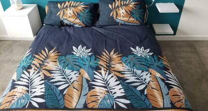 Charmant,spacieux appartement pres des commerces avec terrasse chauffee