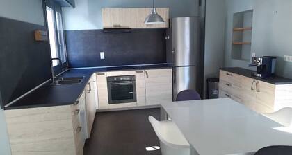 Charmant,spacieux appartement pres des commerces avec terrasse chauffee