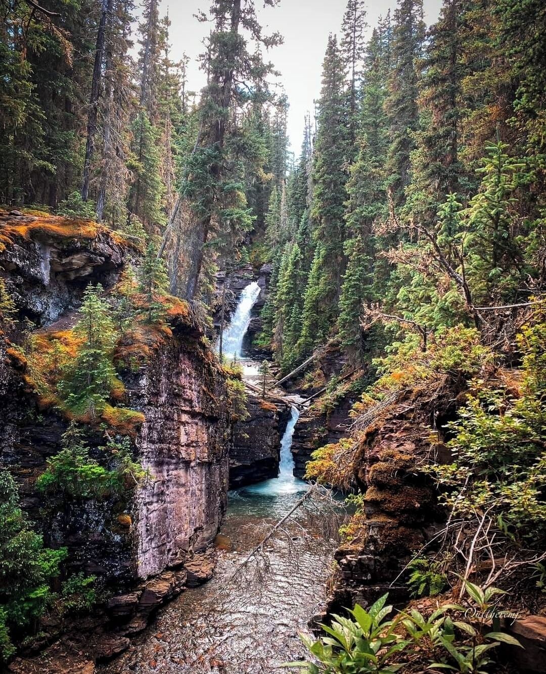 A waterfall in a forested area with rocky terrain and dense trees.