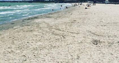 #1 SunnyBungalowByTheBay 1BDR 5 min2Beach & Downtn