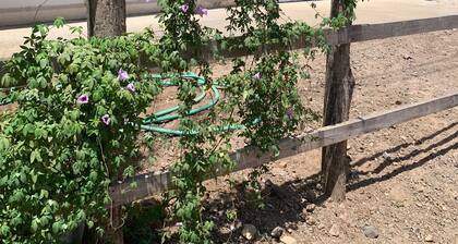 2 bedroom private vacation home in Villareal