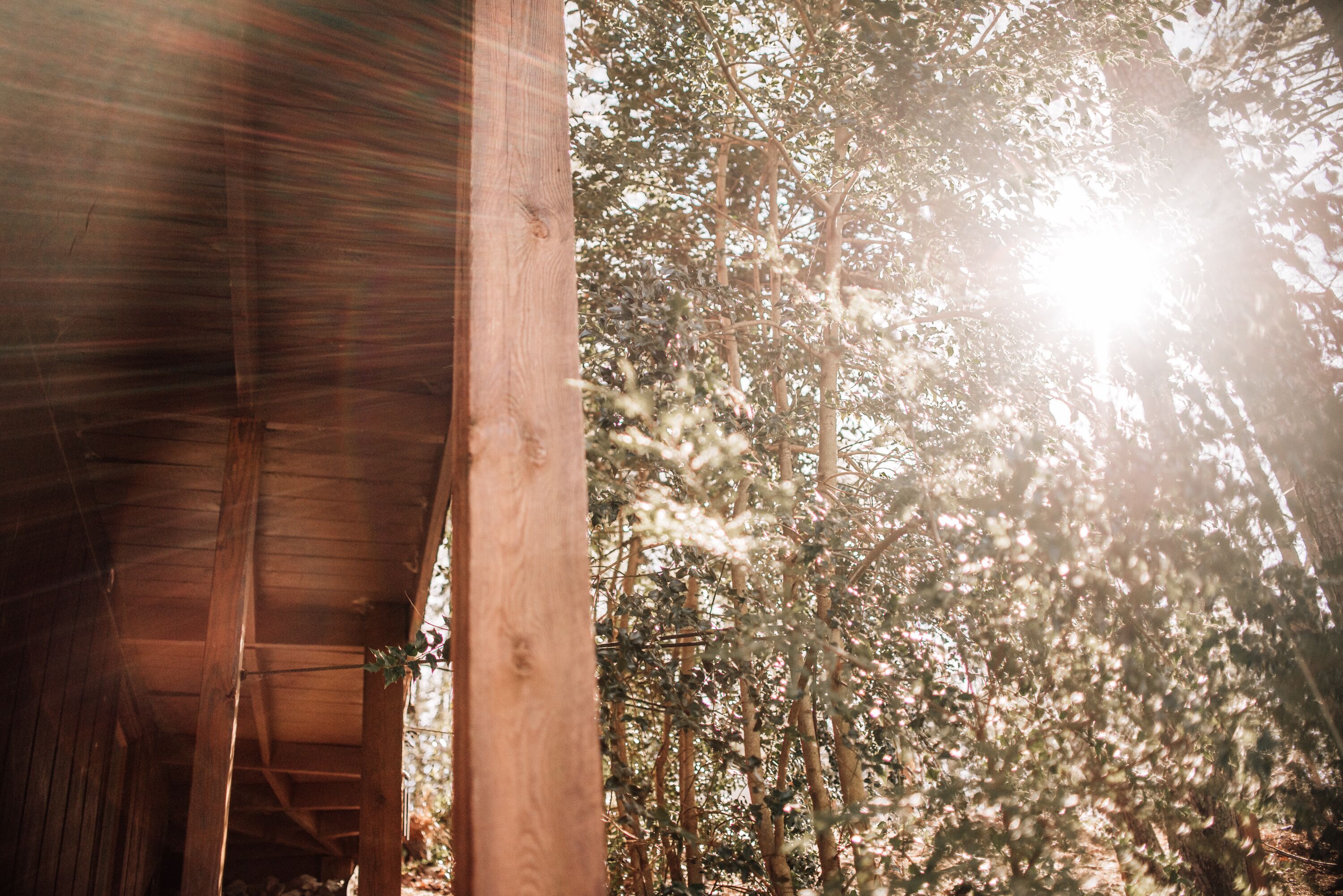 Une structure en bois offrant une vue sur une zone boisée, avec la lumière du soleil filtrant à travers les arbres.