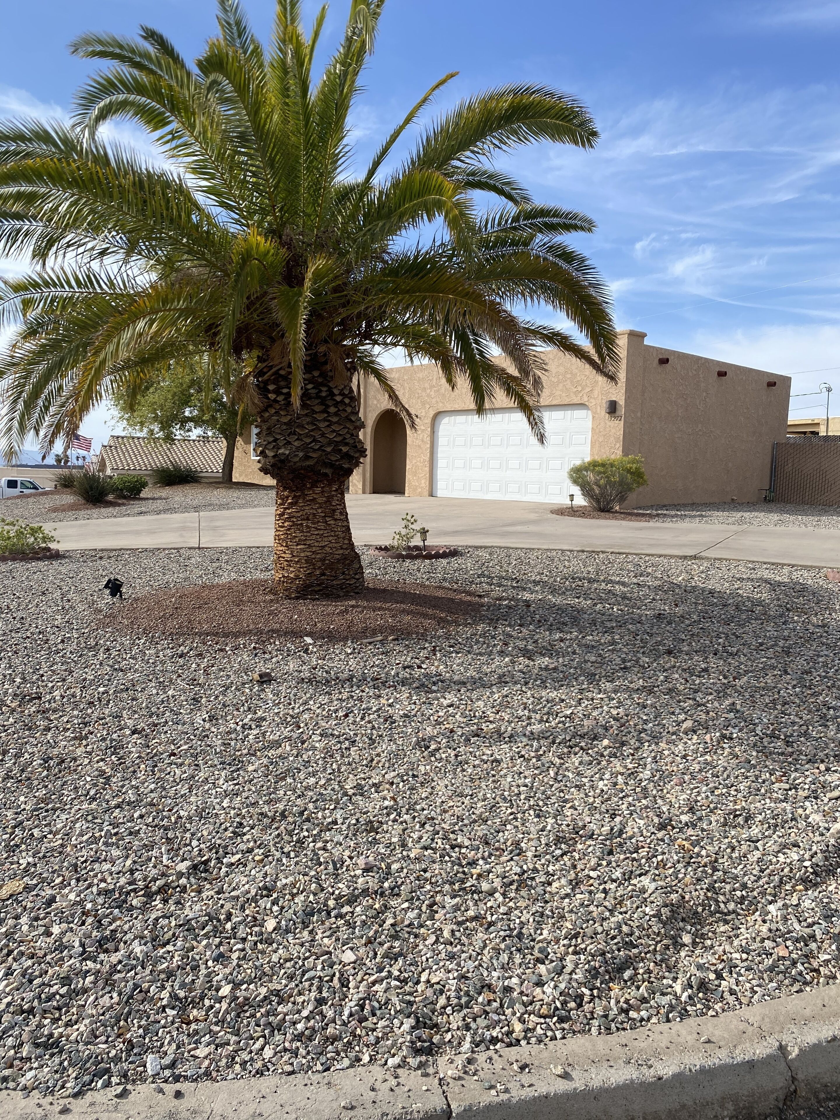 Un edificio con puerta de garaje, una palmera y un camino de grava.