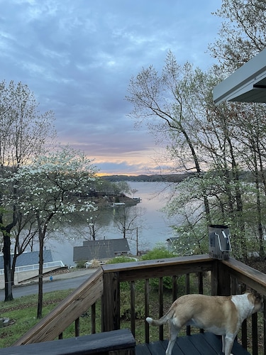 Pets! Spectacular view of the cove + main channel! Much to do nearby.