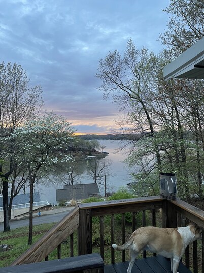 Pets! Spectacular view of the cove + main channel! Much to do nearby.