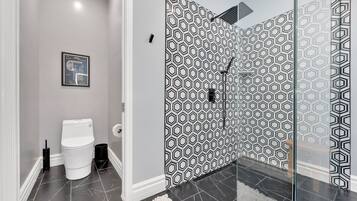 A modern bathroom with a geometric patterned shower wall, a toilet, and a framed picture on the wall.