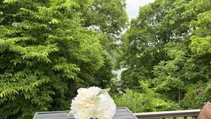 Une table ornée d’un vase de fleurs blanches, placée sur une terrasse d’où l’on peut admirer une forêt et une rivière.
