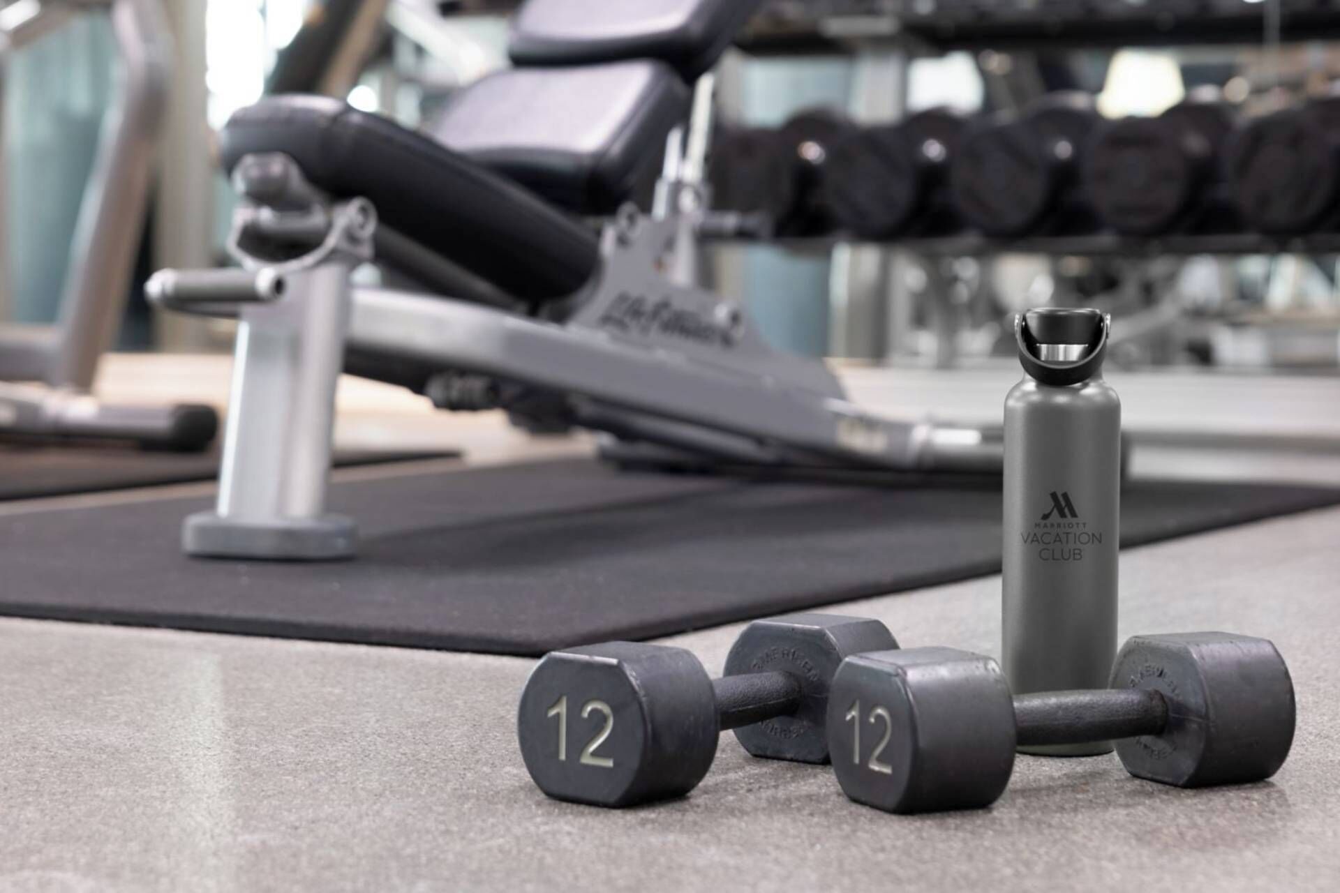 Une salle de sport équipée de matériel d’exercice, notamment des haltères et un banc de musculation.