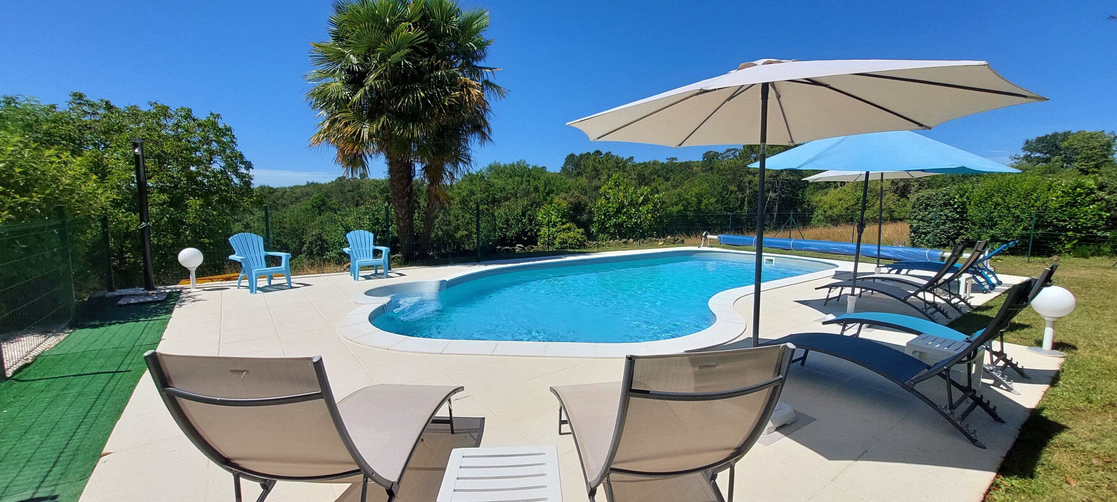 Una piscina con lettini e ombrelloni, circondata da palme e vegetazione.