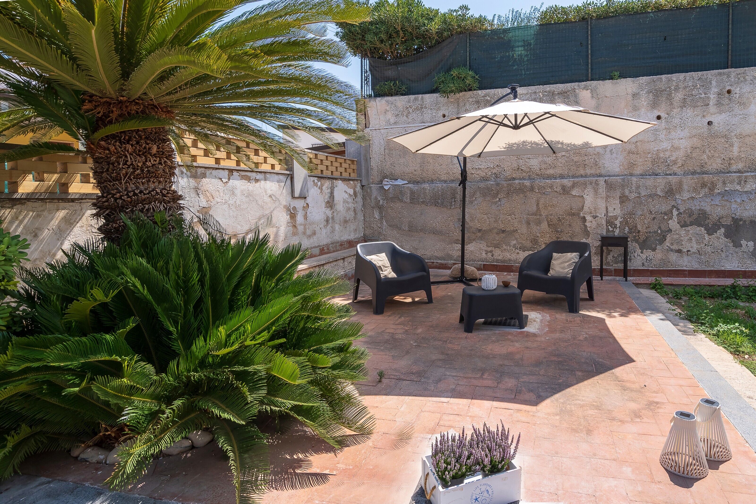 A patio with outdoor furniture, a palm tree, and a wall.