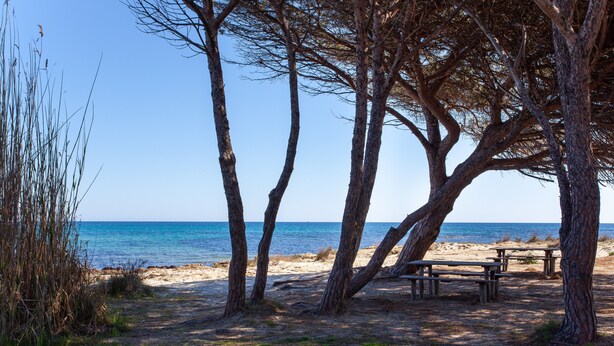 Strand