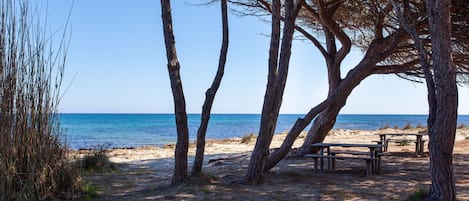 Beach nearby