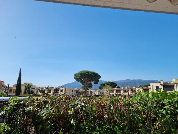 Property grounds - Ground-Floor Studio Cabin for 4 with Terrace – 300m from Beach & Shops (Argelès-sur-Mer)