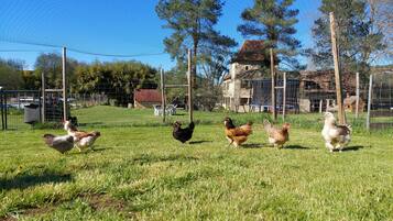 Enceinte de lâhĂ©bergement