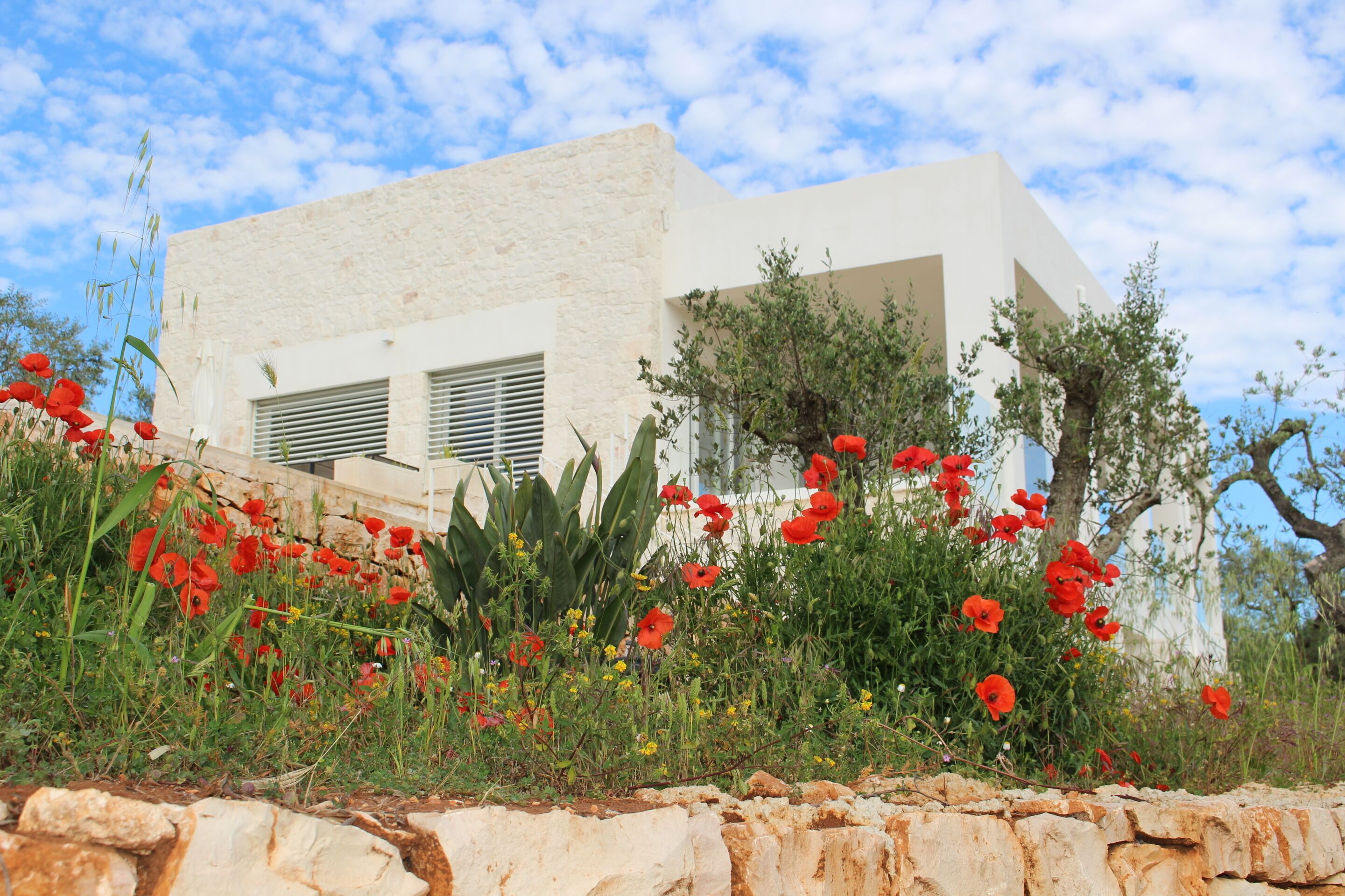 Un bâtiment moderne à la façade en pierre, entouré d’une variété de fleurs rouges et jaunes.