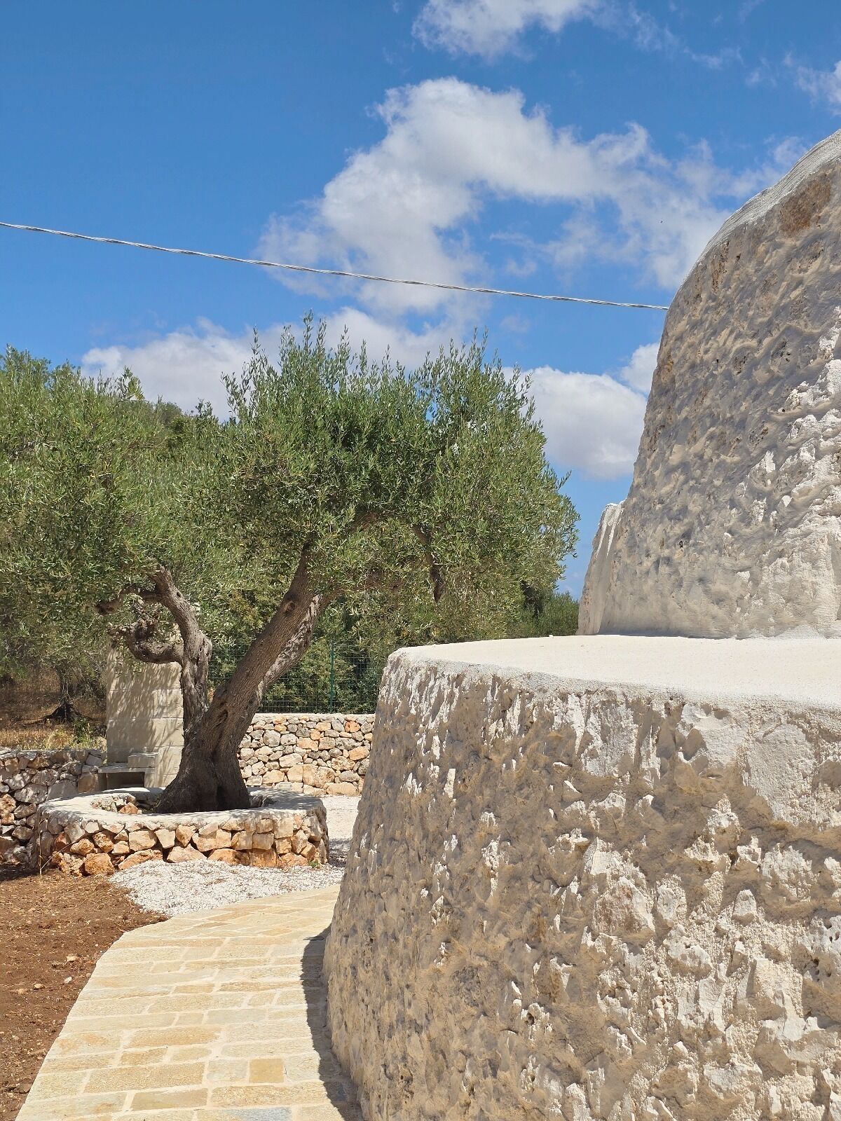 A stone pathway leading to a white structure with a tree in the foreground.