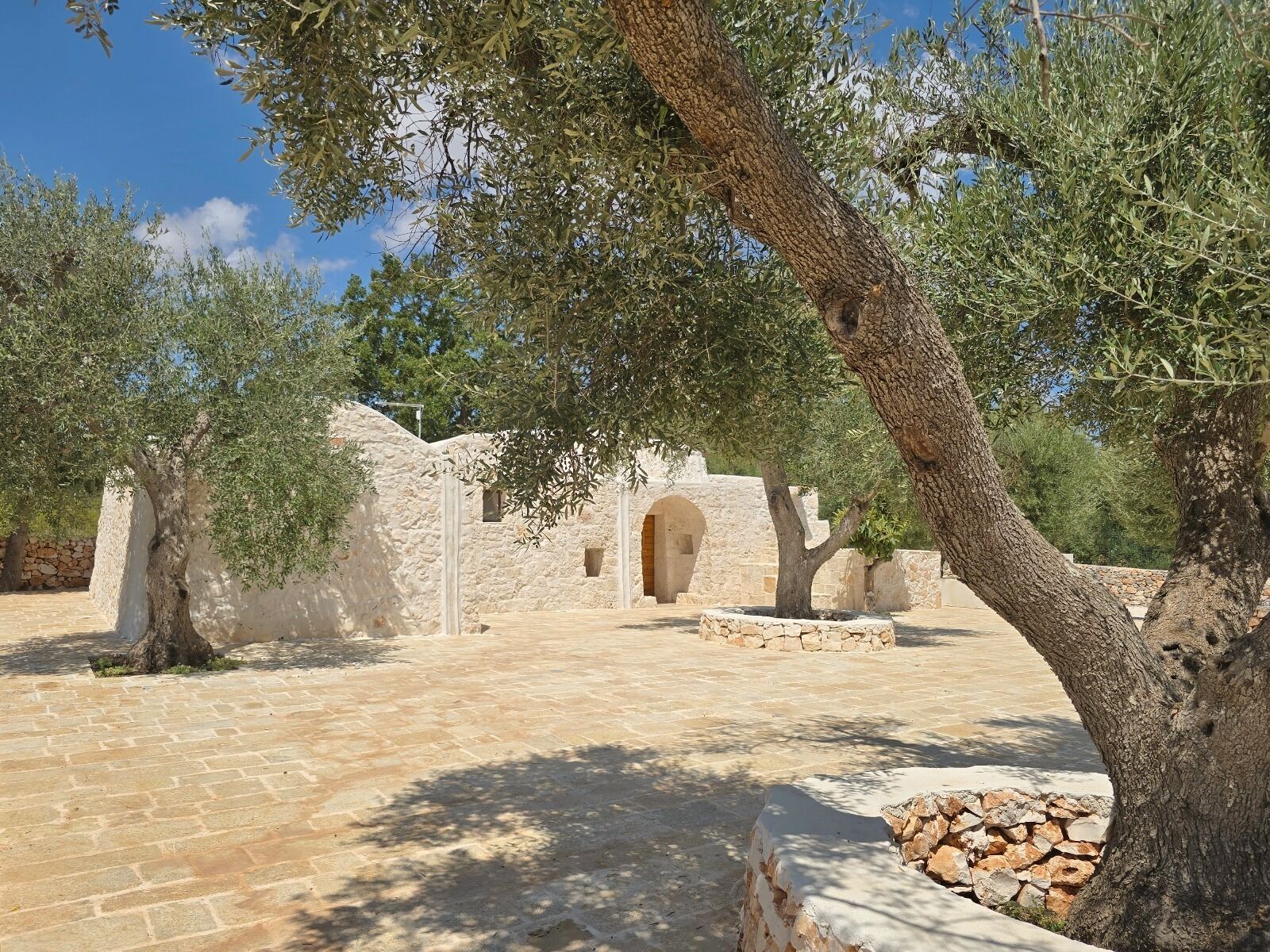 Cortile esterno con pareti in pietra e ulivi.