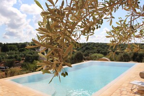 Una piscina infinita con olivos al frente y vistas de un paisaje boscoso al fondo.