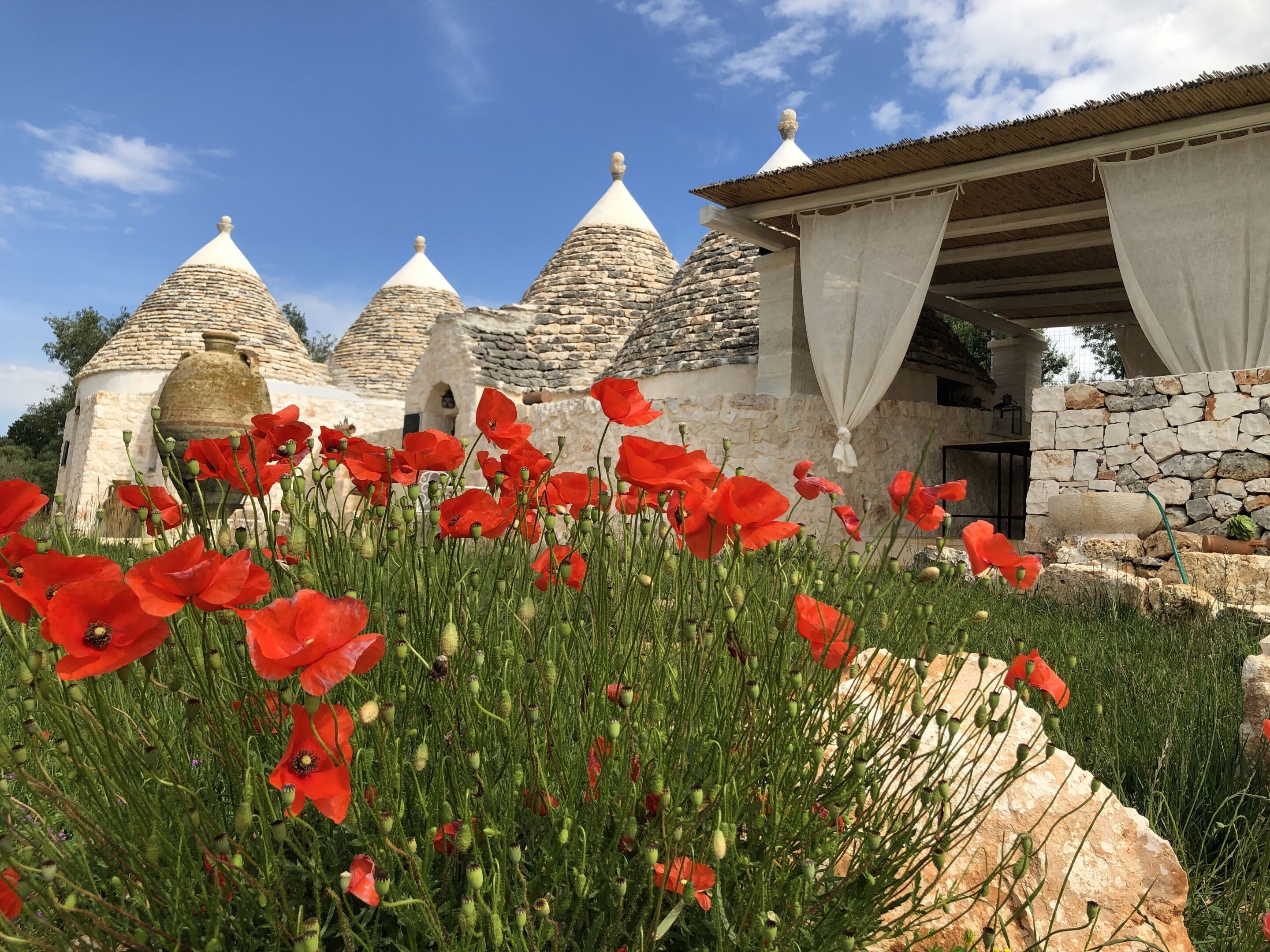 精品套房, 独立浴室, 公园景观 (Trullo Ulivo) | 住宿景观