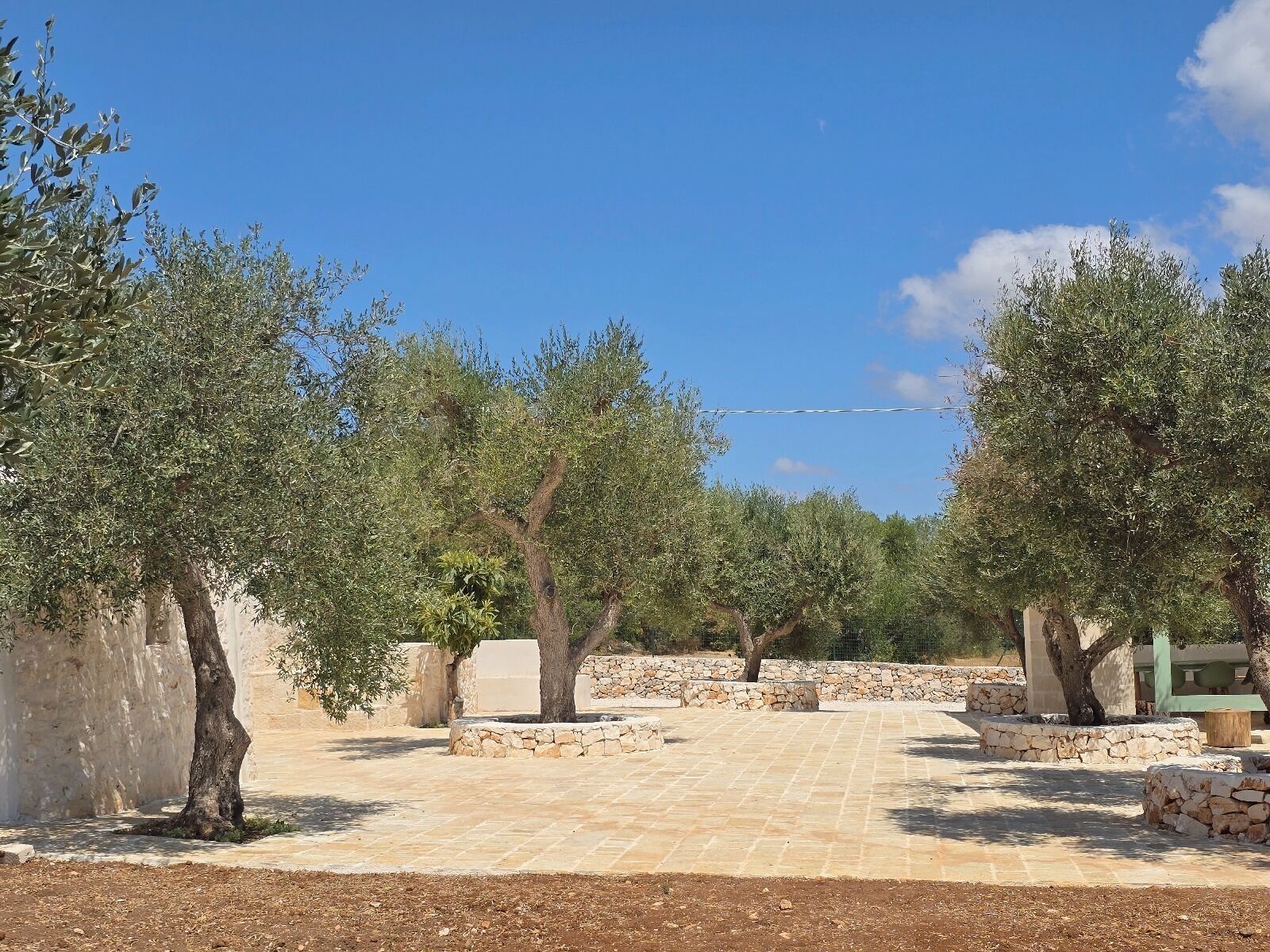 Un espace extérieur agrémenté d’oliviers, de murs en pierre et d’un chemin pavé.