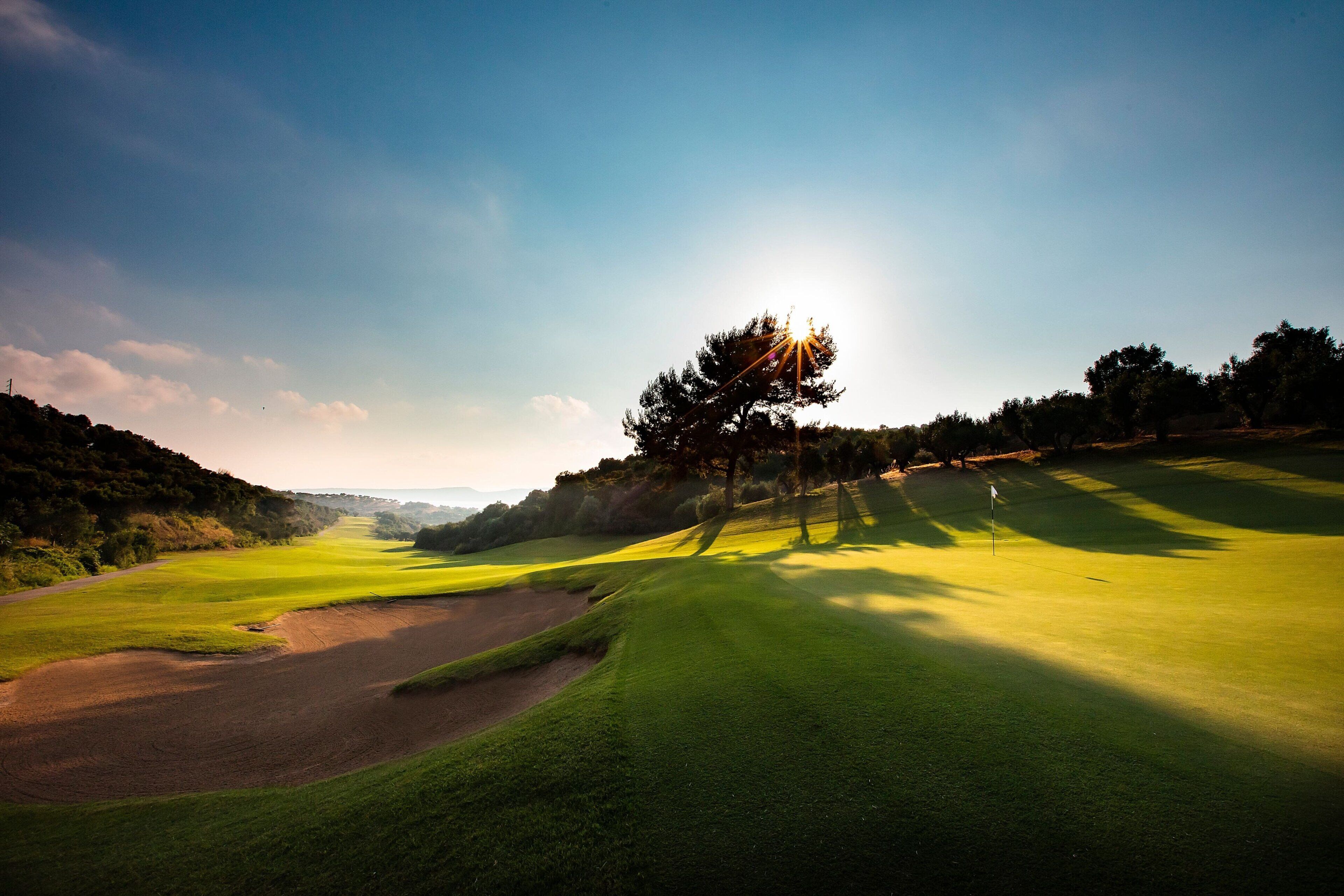 Un campo de golf con cielo despejado, un árbol solitario y un mástil con bandera.