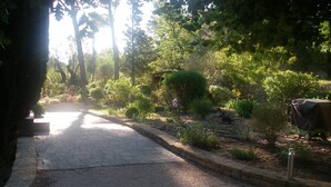 Un sendero pavimentado que atraviesa un jardín con diversas plantas y un vehículo cubierto estacionado a la derecha.
