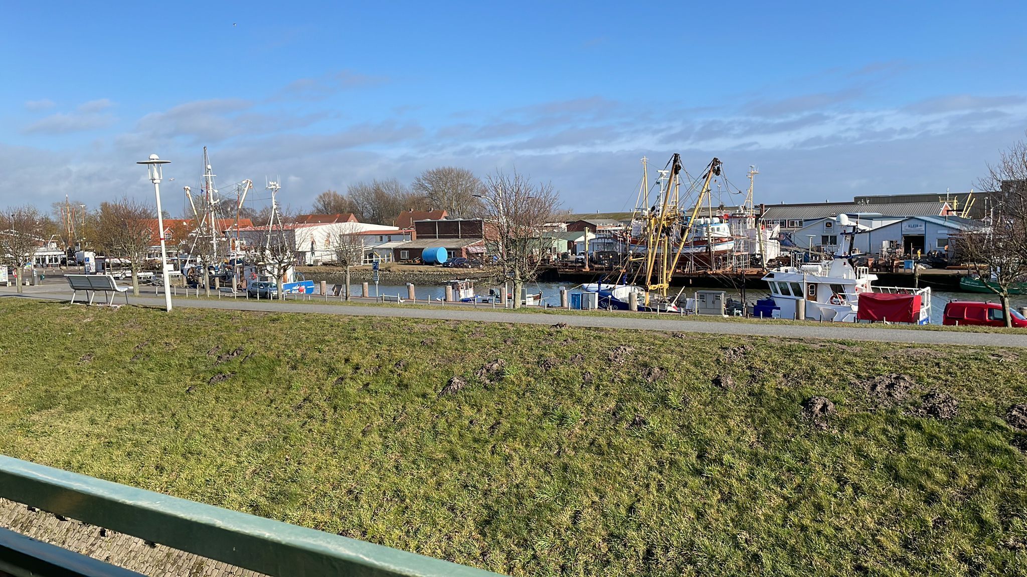 Un puerto deportivo con barcos amarrados, un área verde al frente y edificios al fondo.