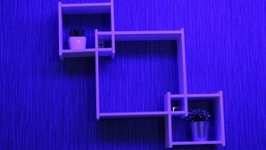 Une pièce avec un mur bleu à texture et trois étagères blanches ornées de plantes en pot.