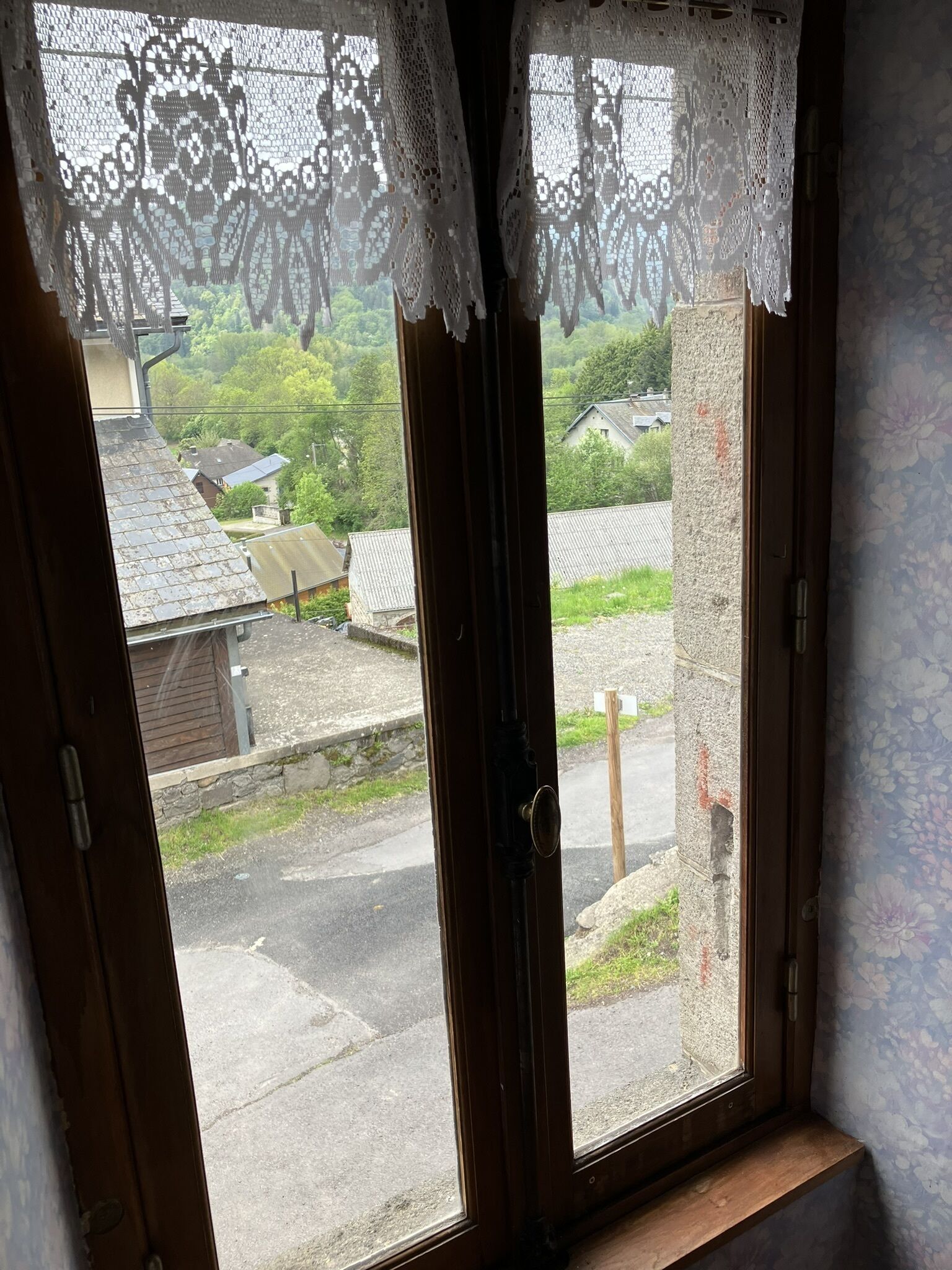A window with a lace curtain, a wooden frame, and a view of a residential street with houses and greenery.