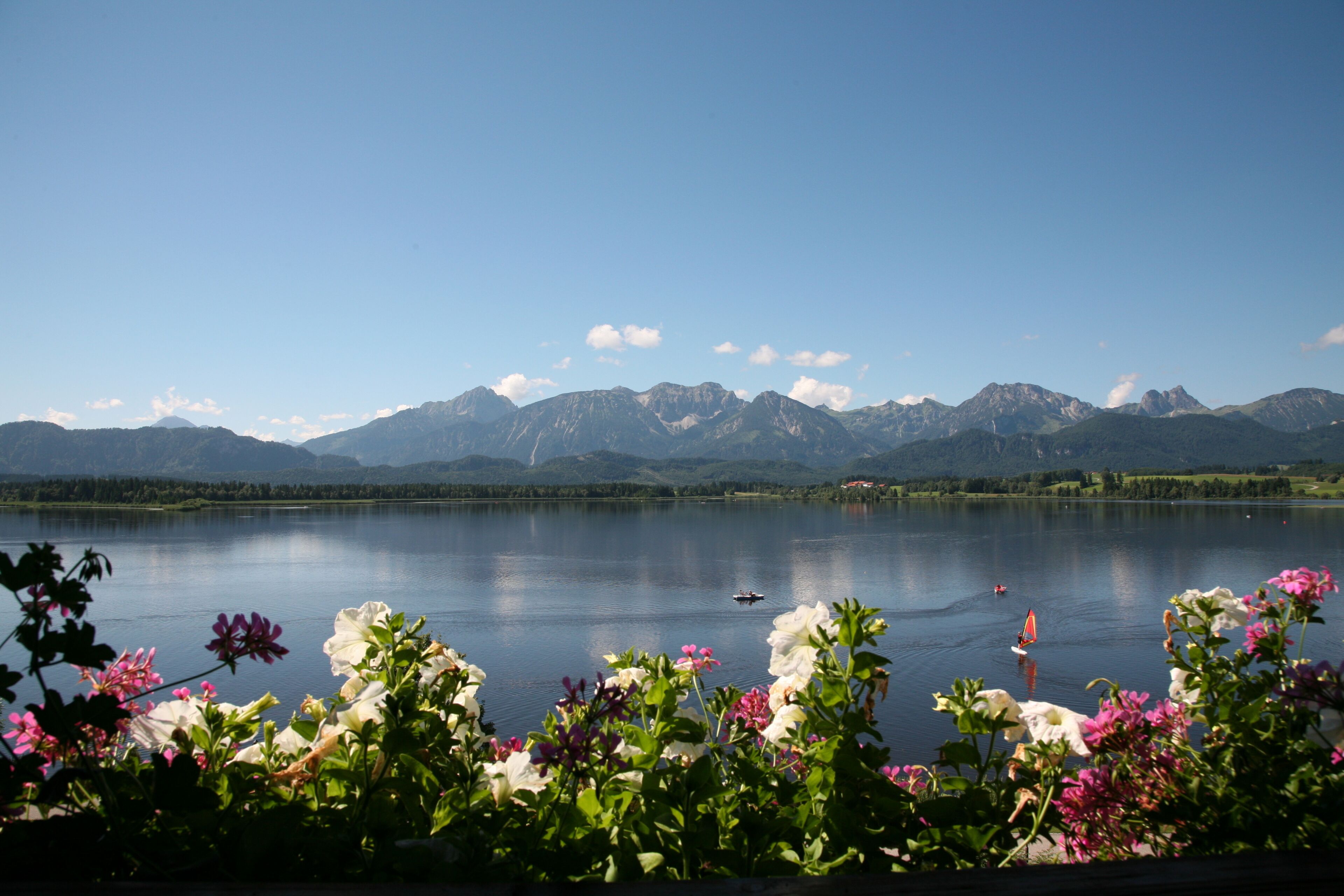Un lago con montañas al fondo y flores en primer plano.