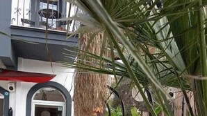 Un espacio al aire libre con sillas blancas y una mesa, rodeado de plantas y un muro decorativo.