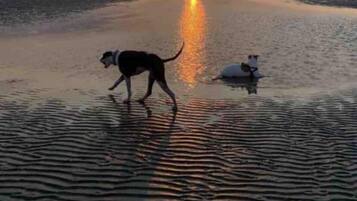 Beach nearby, beach towels