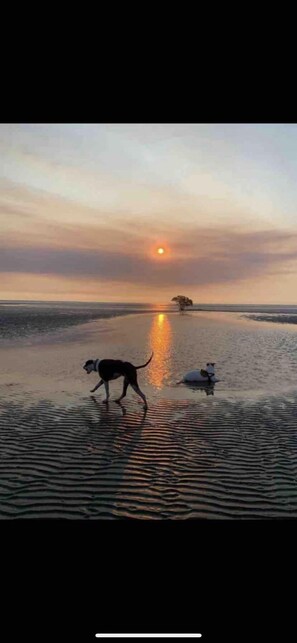 Beach nearby, beach towels - Coopers Rest Too  (Coconut Grove)