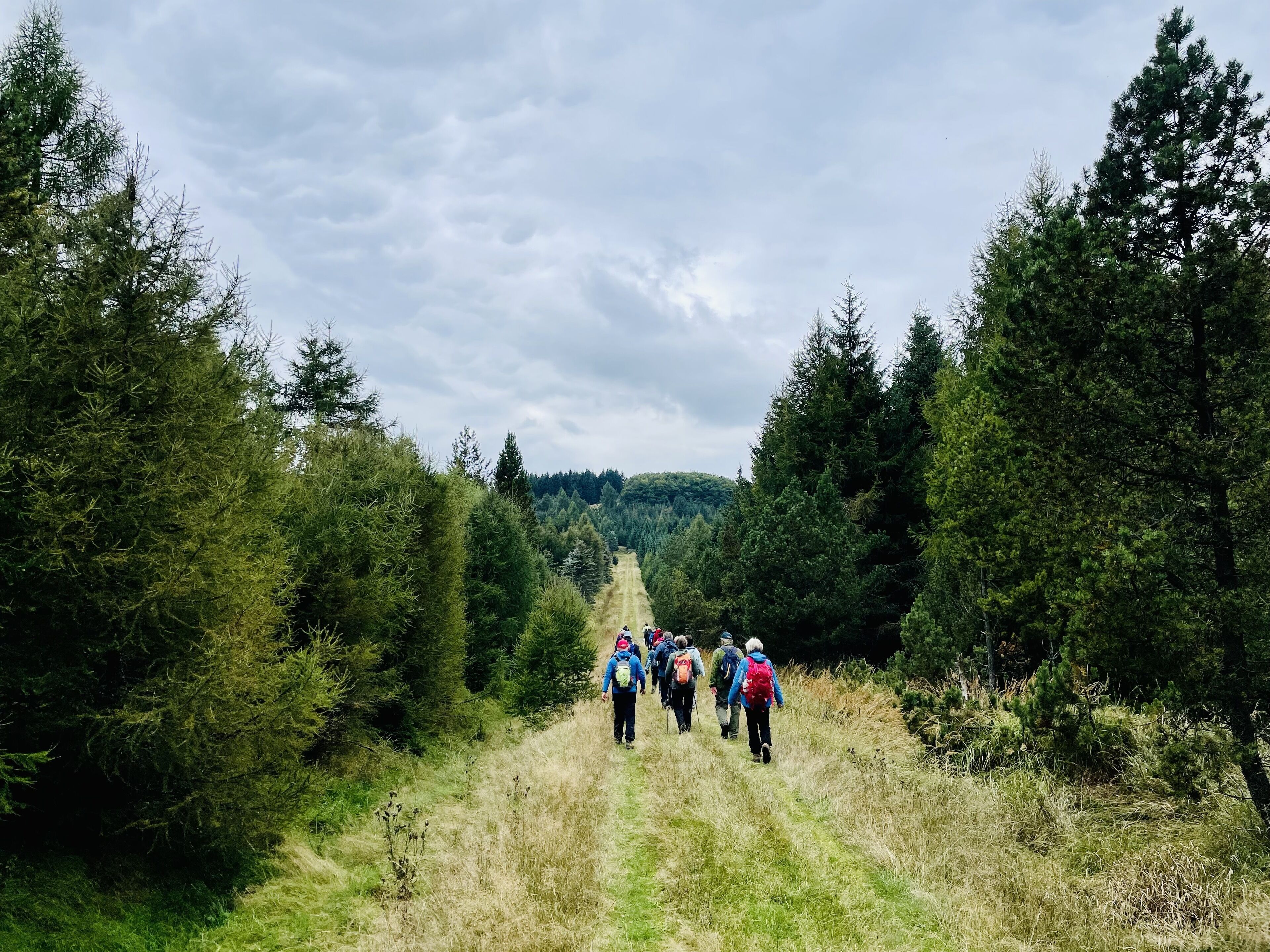 Un groupe de randonneurs se trouve sur un sentier de terre, entouré d’une forêt dense.