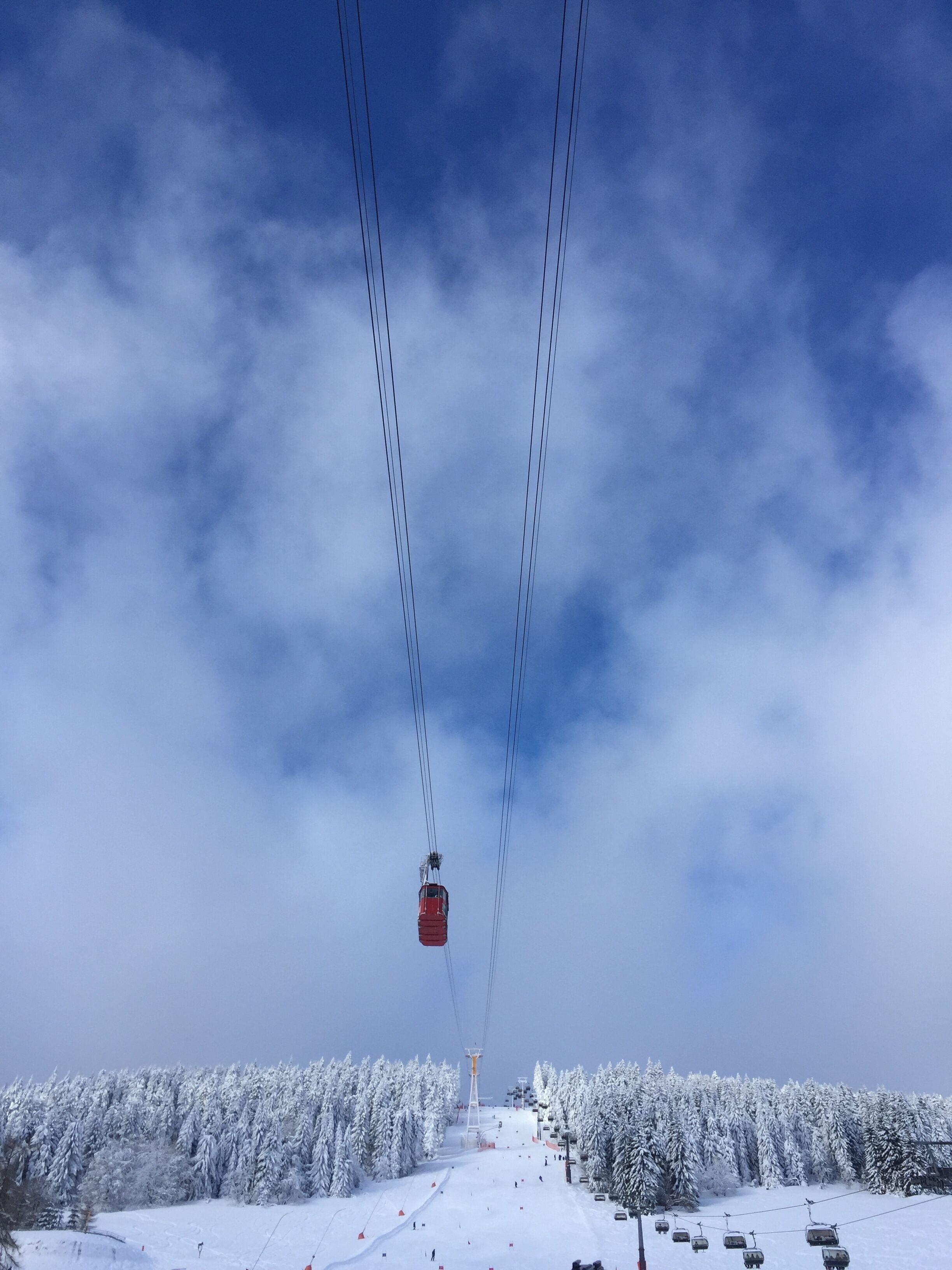 A cable car moving along a snowy mountain path with a forest on either side.