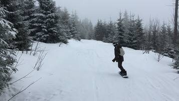 Una persona fa snowboard lungo un sentiero innevato, circondato da alberi sempreverdi.