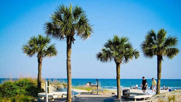 A beach pathway lined with palm trees leading to the ocean. - Oceanfront Sunrises in Upgraded Seaside Villa 225 (Hilton Head Island)