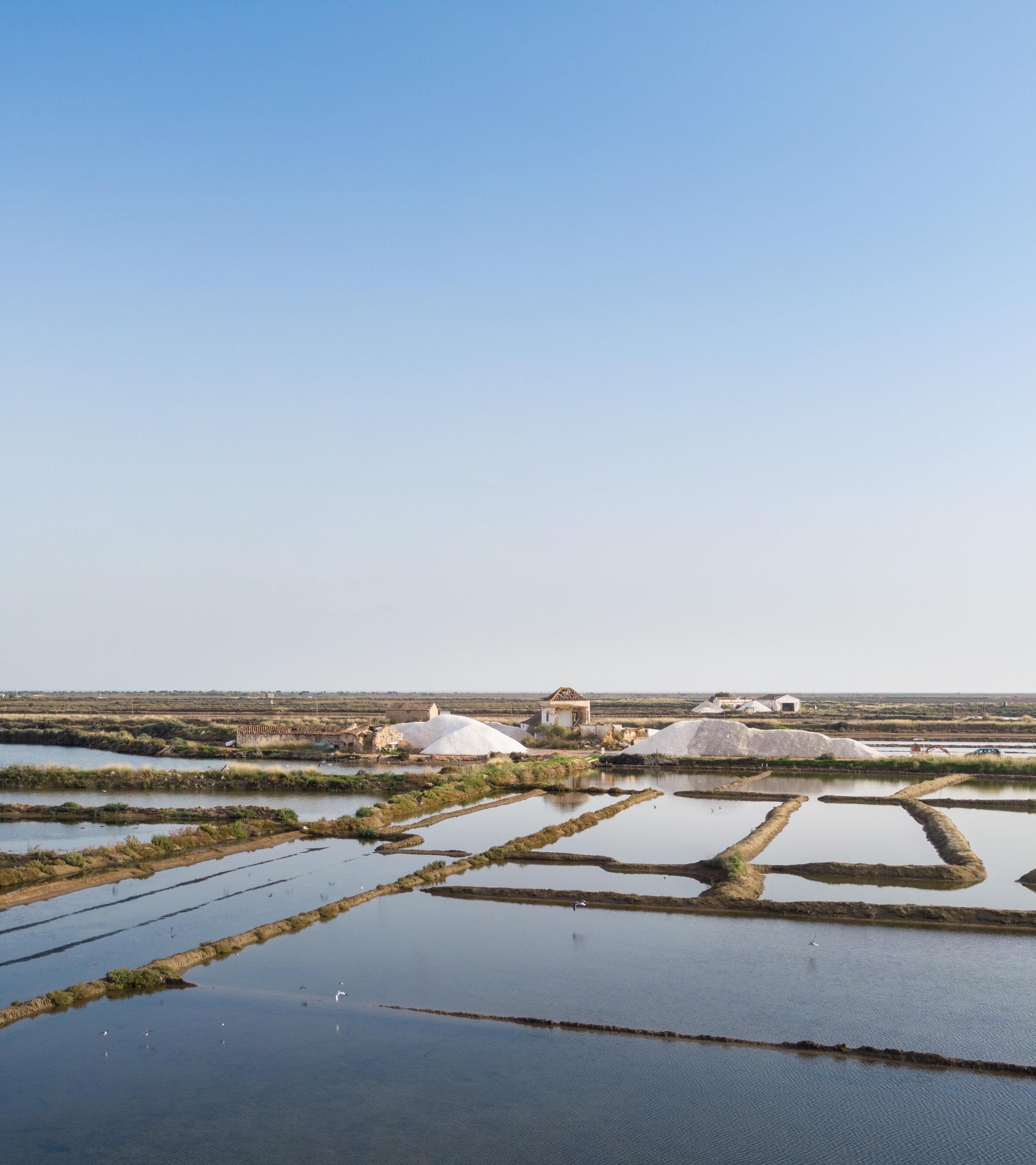 A landscape with agricultural fields and water channels.
