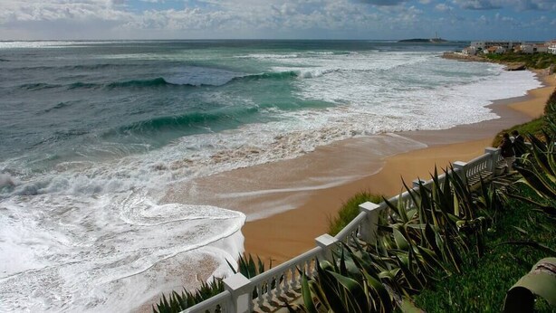 Una playa con olas, una escalera y algo de vegetación.