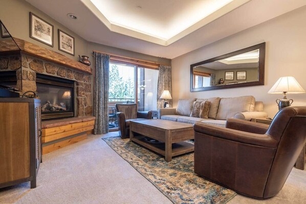 Smart TV, fireplace, books, video library