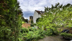 Ein Wohngarten mit dichtem Grün, einer gepflasterten Fläche und einem Gebäude mit Satteldach.