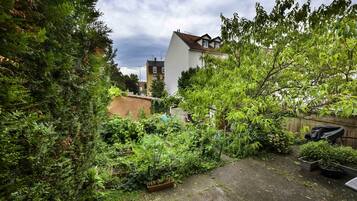 A residential garden with dense foliage, a paved area, and a building with a sloped roof.
