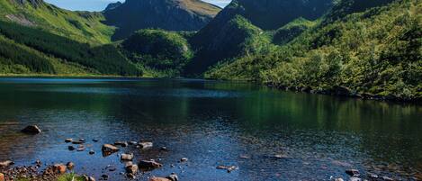 Paisaje montañoso con un lago, costa rocosa y abundante vegetación.