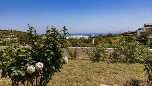Un jardín con rosas y vistas al mar y edificios al fondo.