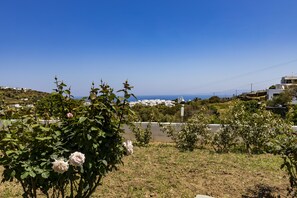 Terrace/patio - Eutuxia Rooms & Studios (Sifnos)